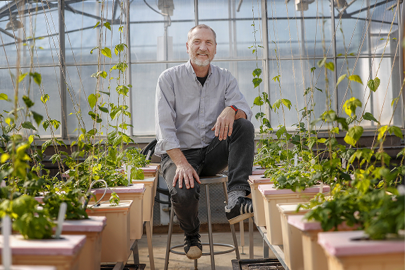 A male-facing college professor is sitting on a chair with his foot propped up on a stool. He's in the center of a leafy greenhouse.